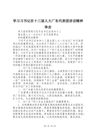 学习习书记在十三届人大广东代表团讲话精神体会 