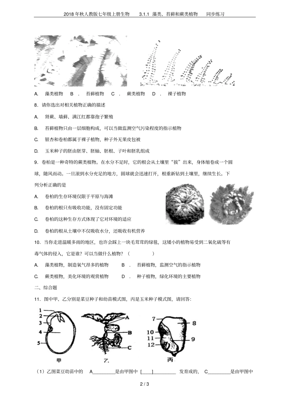 2018年秋人教版七年级上册生物1藻类、苔藓和蕨类植物同步练习_第2页