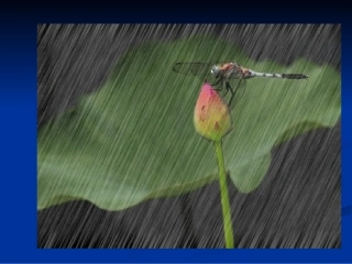 七上第三章第三节降水和降水的分布课件1