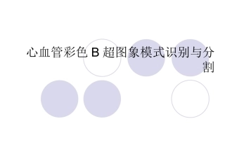 心血管彩色B超图