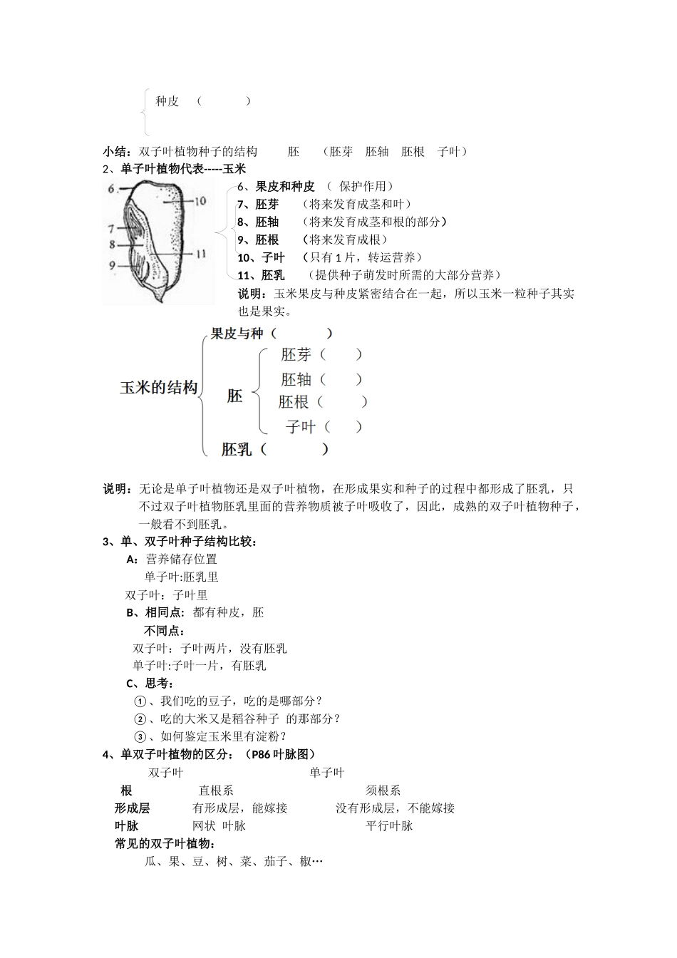 种子植物与种子的萌发复习教案_第2页