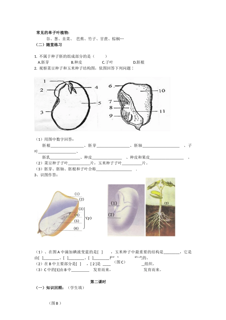 种子植物与种子的萌发复习教案_第3页