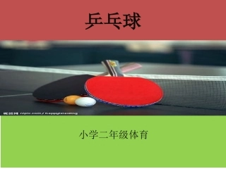 乒乓球(1)