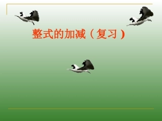 整式的复习（一）