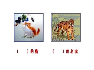 猫是老虎的先生
