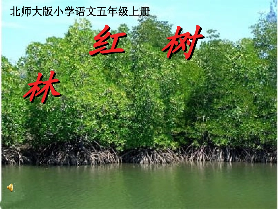红树林课件第一课时_第1页