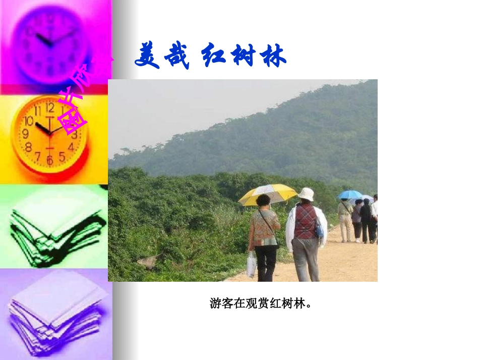 红树林课件第一课时_第2页