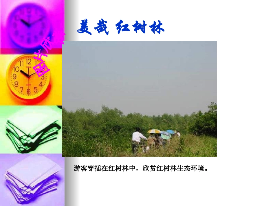 红树林课件第一课时_第3页