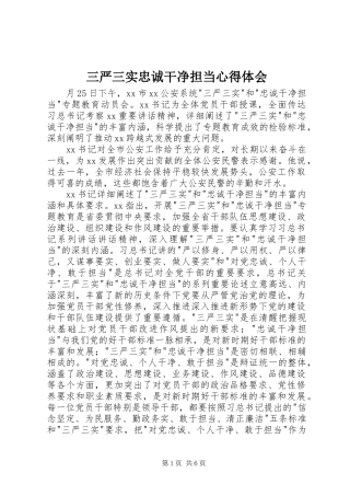 三严三实忠诚干净担当心得体会 