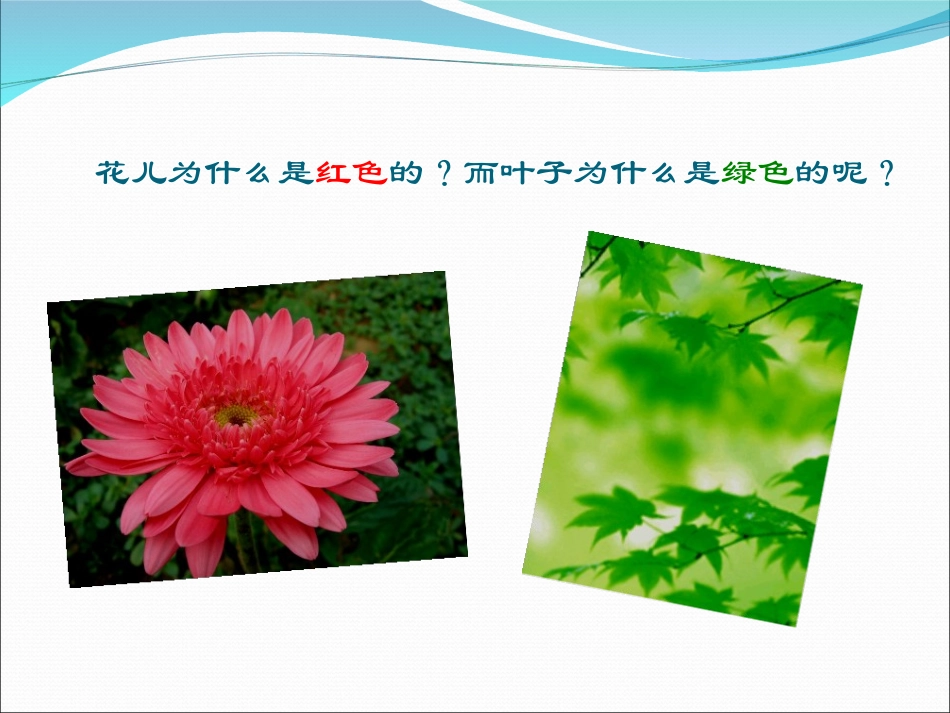 光的色散课件_第2页