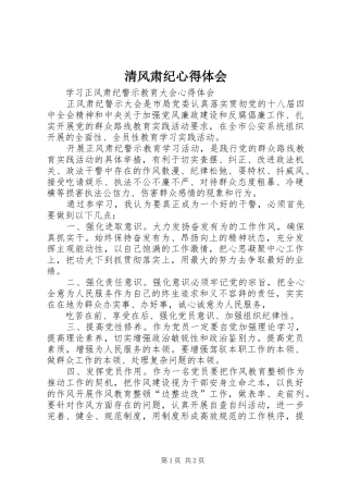 清风肃纪心得体会 