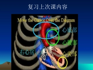 心脏检查2-心-脏-听-诊(5学时)