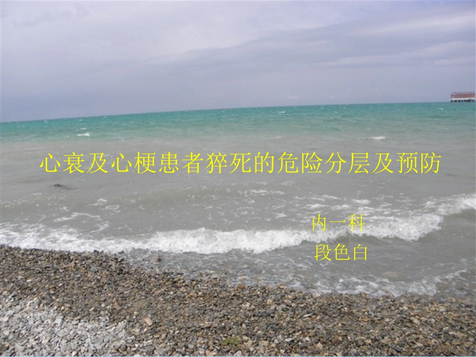 心脏性猝死指南解_第1页