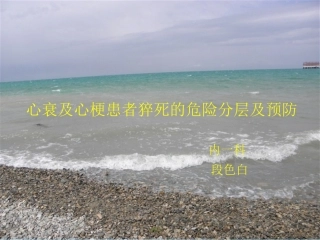 心脏性猝死指南解