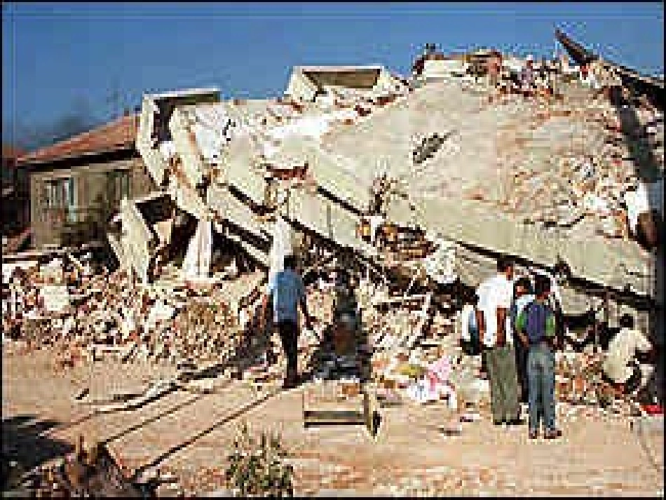 地震中的父与子教学课件-（第二次）_第2页