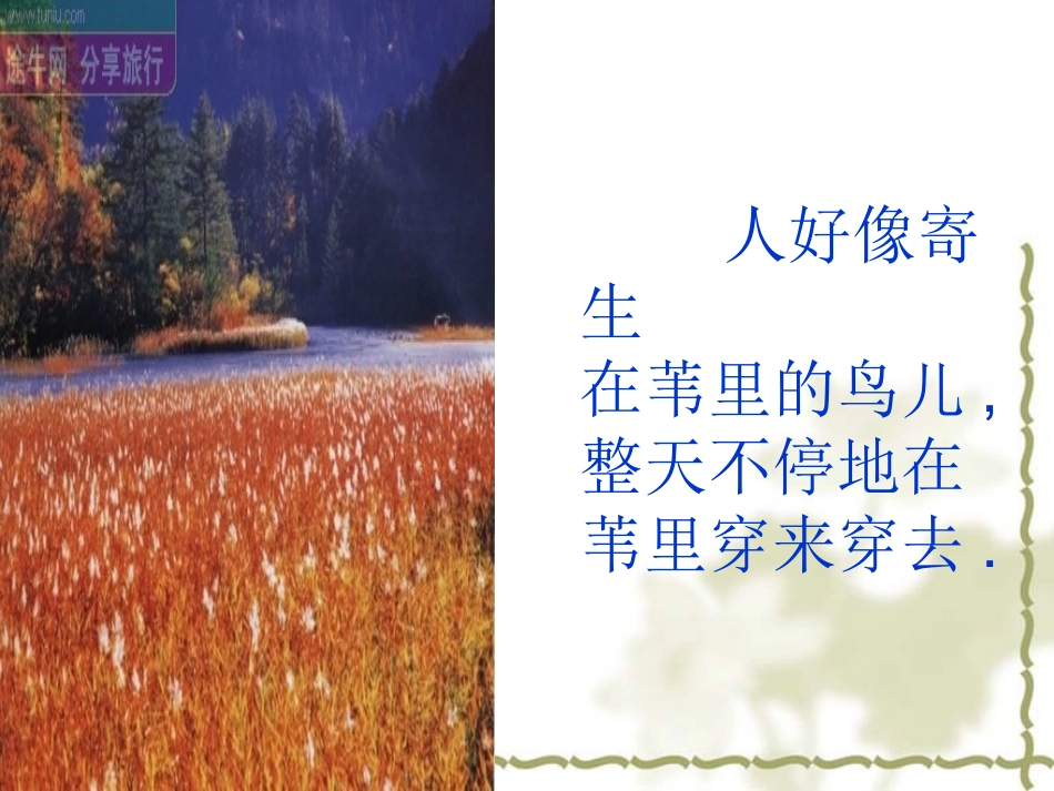 采蒲台的苇1_第3页