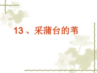 采蒲台的苇1