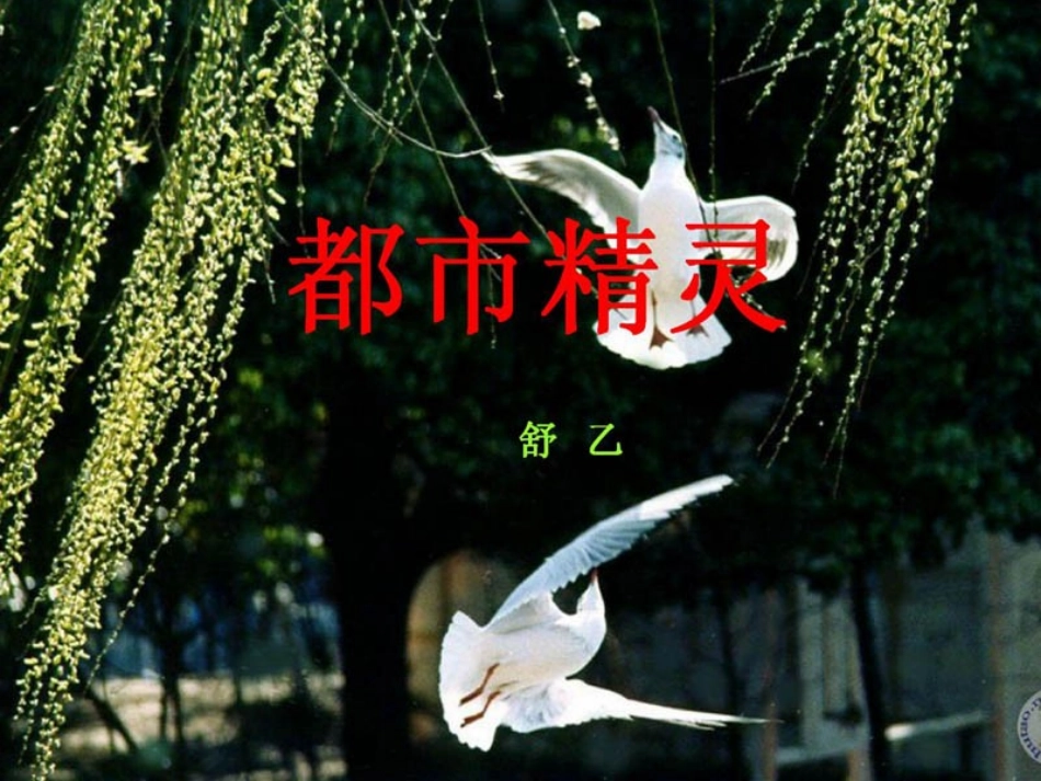 都市精灵课件111_第1页