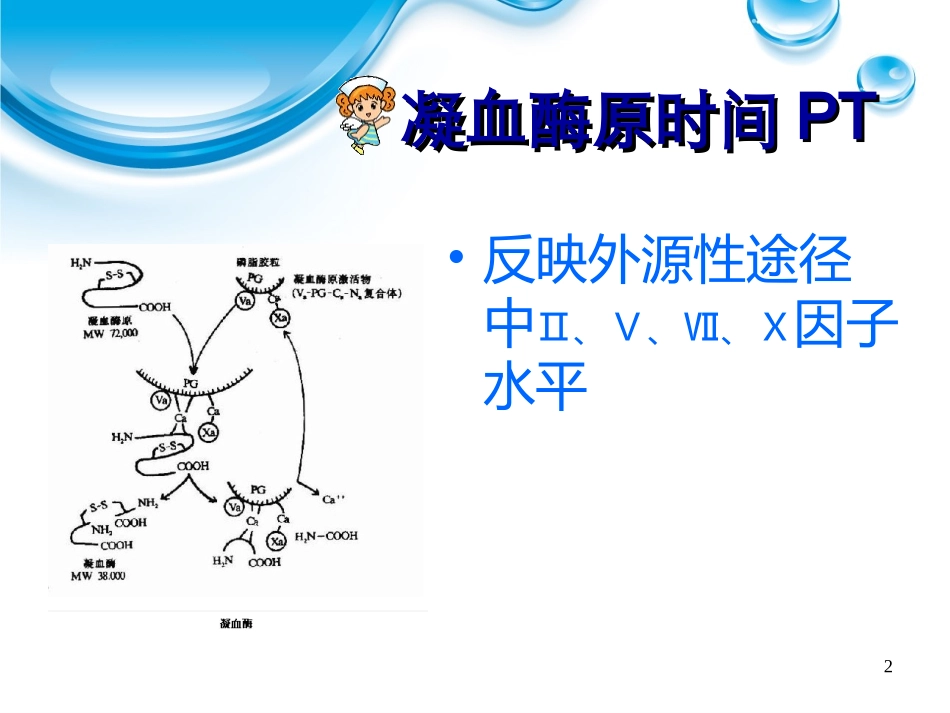 影响凝血酶原时间的因素的探讨--翁蕊-蒋纯靓_第2页
