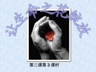 让生命之花绽放 (2)