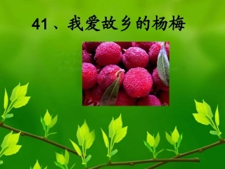 我爱故乡的杨梅