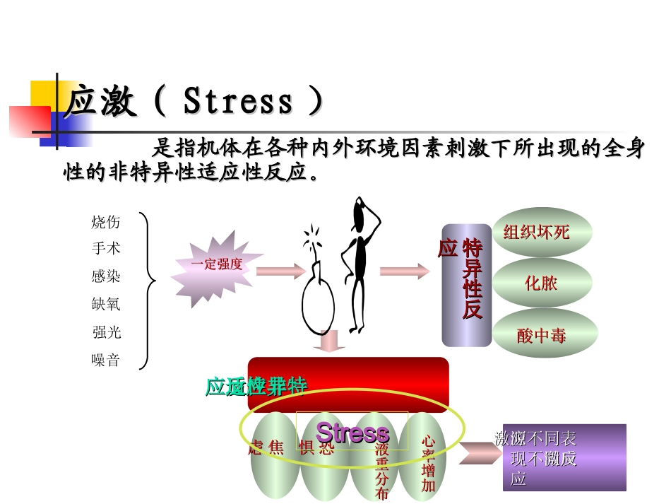 应激性消化道粘膜病变_第1页
