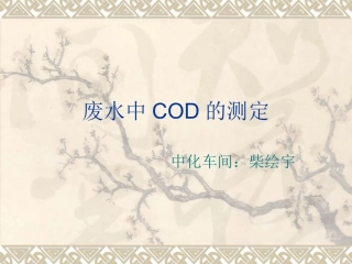 废水中COD的测定