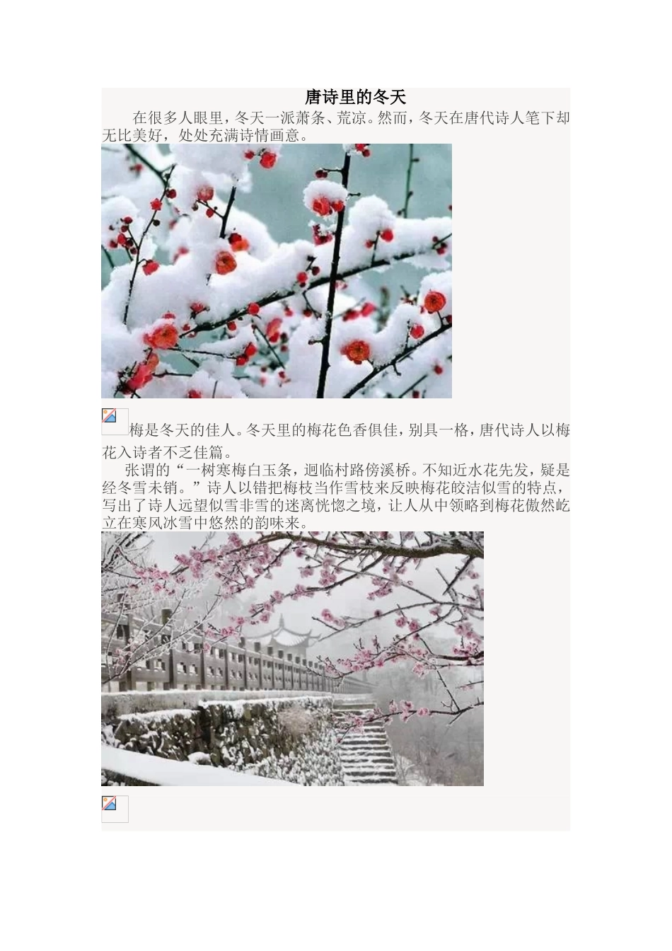 唐诗里的冬天_第1页