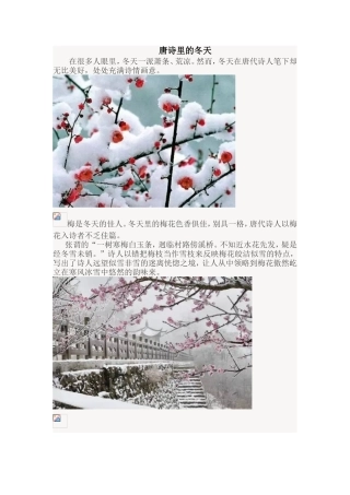 唐诗里的冬天