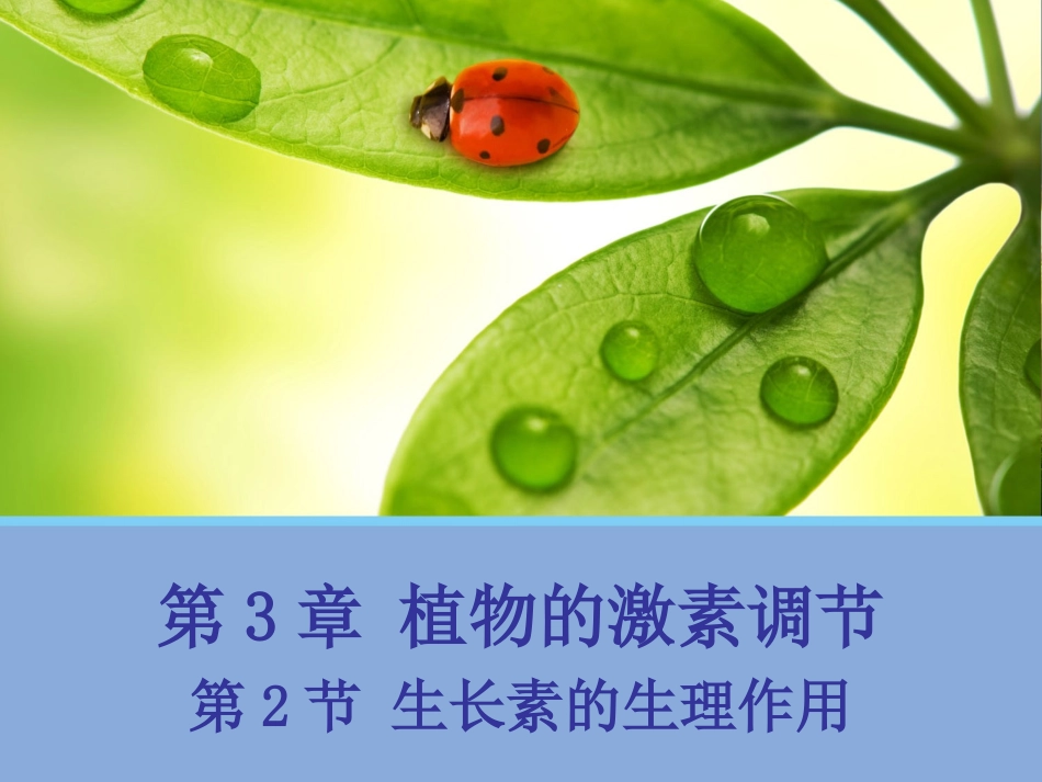 【生物】32生长素的生理作用课件1（人教版必修3）_第1页