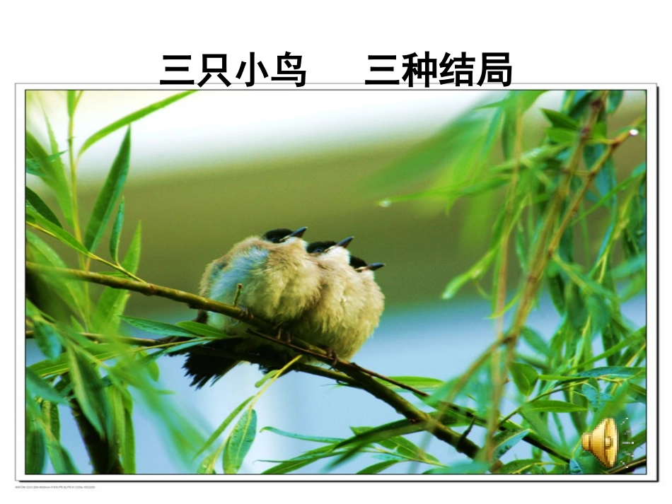 正确对待理想与现实PPT1_第1页