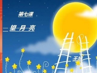 王旭音乐一下《望月亮》