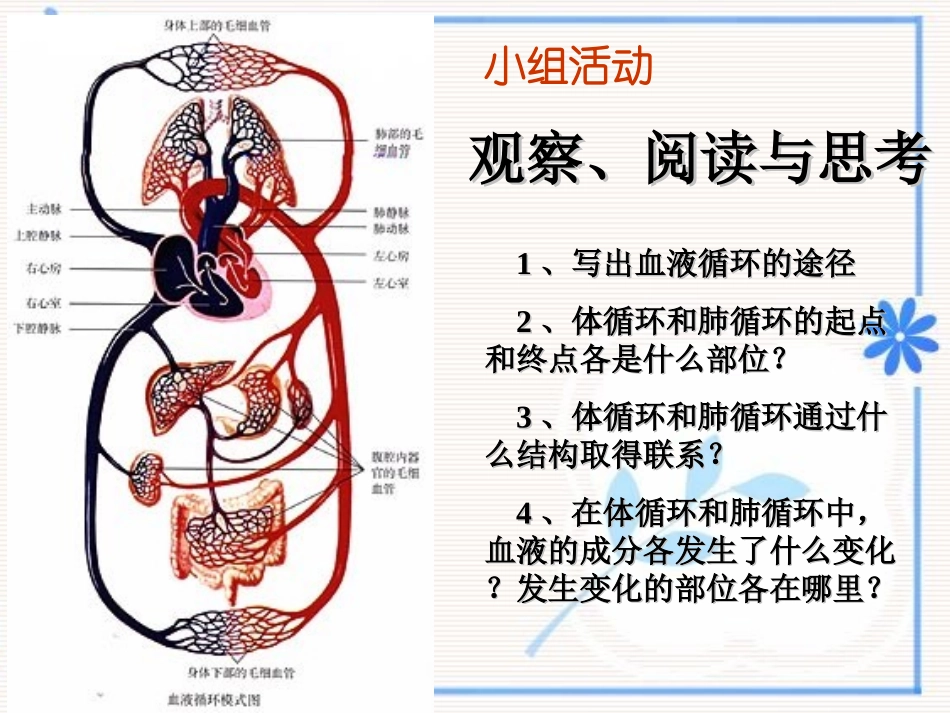 已修：输送血液的泵-心脏(第二课时)_第2页