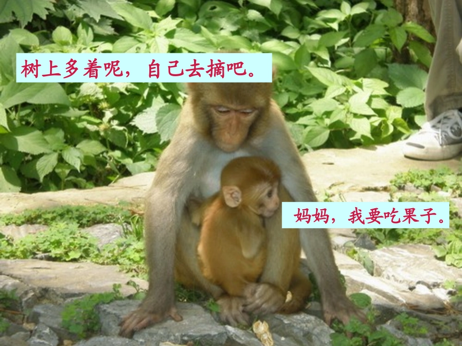 自己去吧PPT_第2页