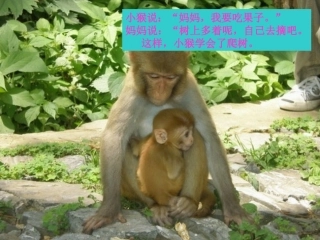 自己去吧PPT