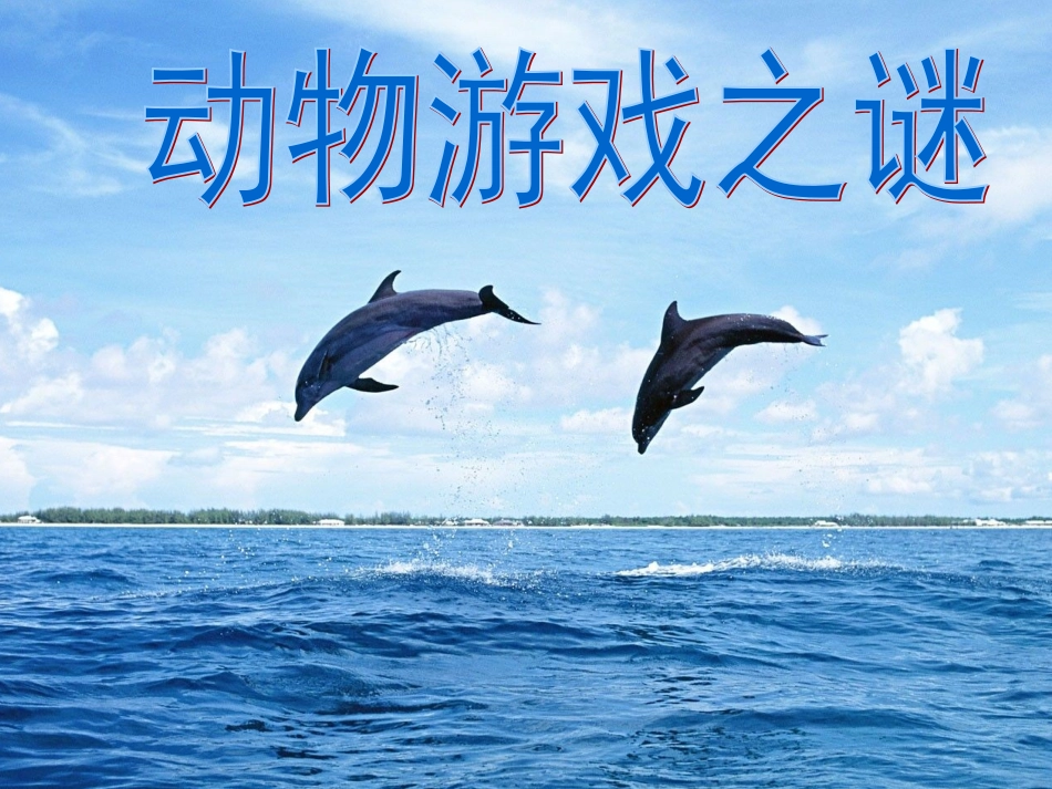 动物游戏之谜_第1页