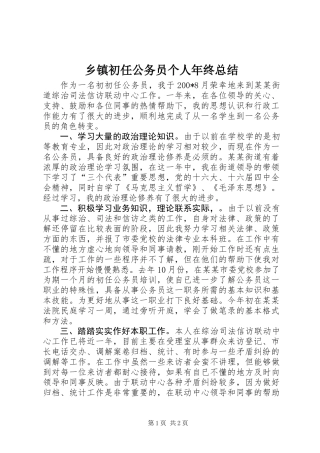 乡镇初任公务员个人年终总结