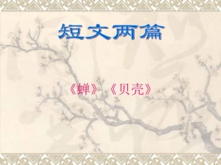 七年级语文短文两篇《蝉》《贝壳》PPT课件[1]