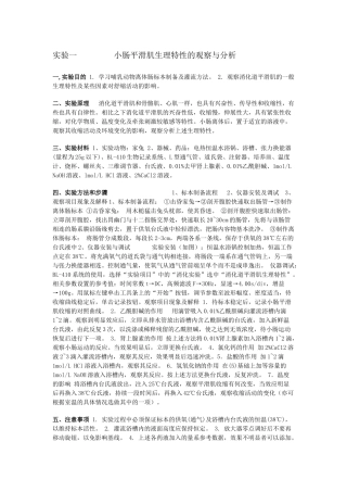 小肠平滑肌生理特性的观察与分析