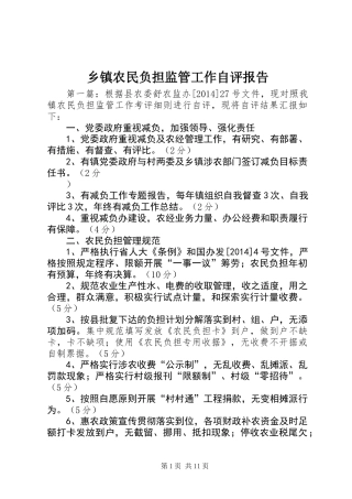 乡镇农民负担监管工作自评报告