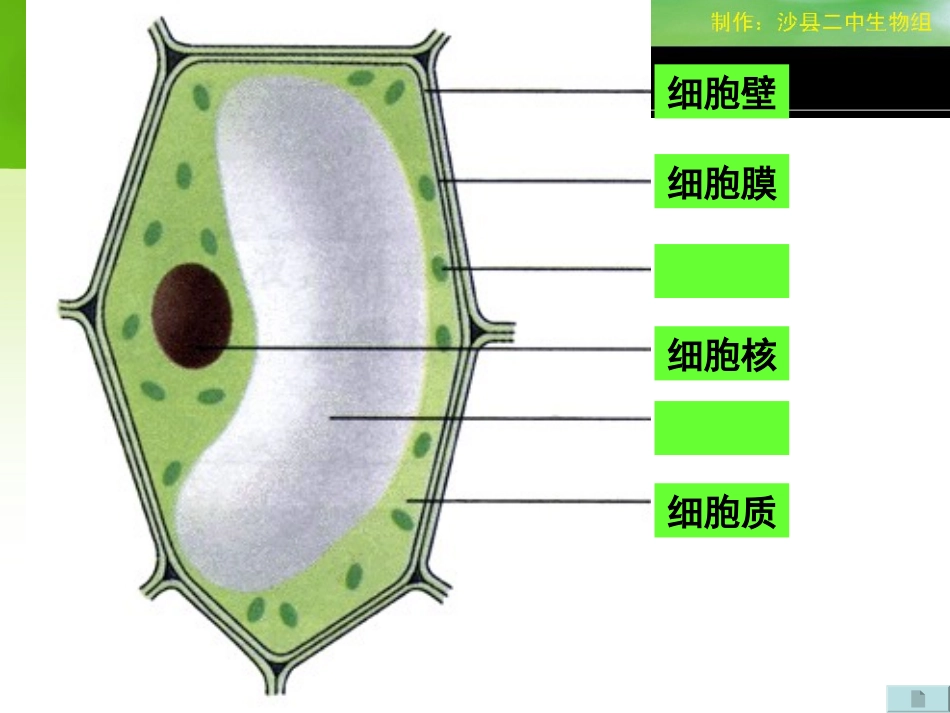 2012碳氧平衡_第3页