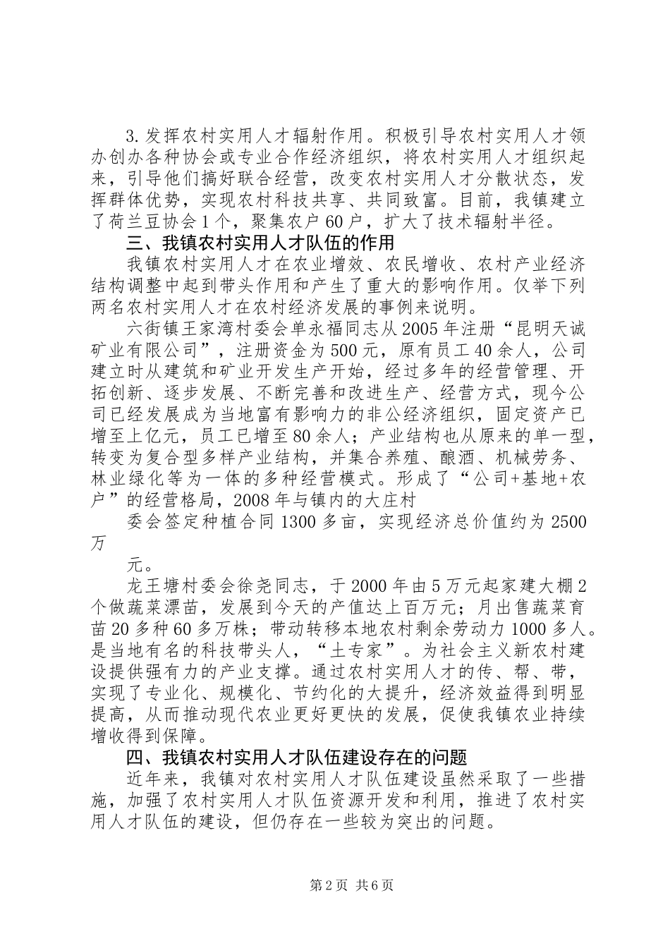 乡镇农村实用人才队伍建设调研报告_第2页