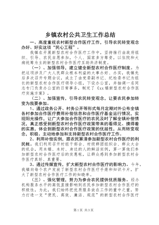 乡镇农村公共卫生工作总结