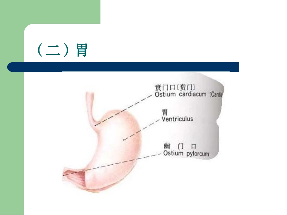 小儿营养及喂养_第3页