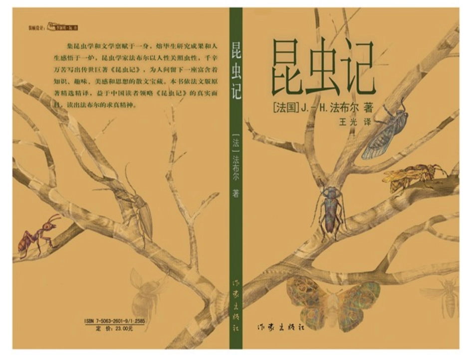 语文-《绿色蝈蝈》1-汪升旭_第3页