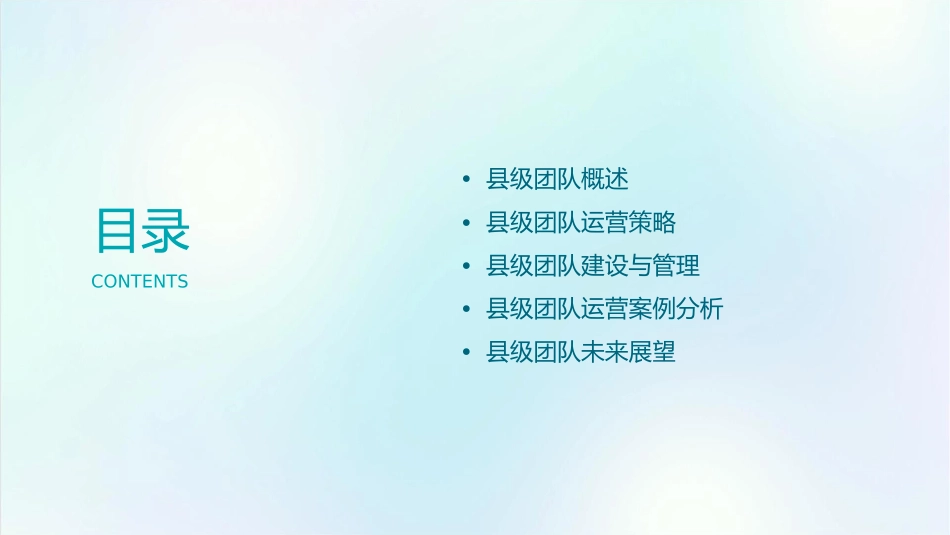 县级团队运营方案课件_第2页