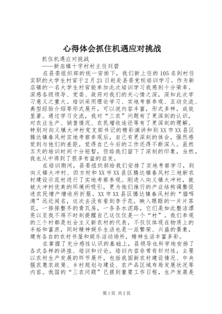 心得体会抓住机遇应对挑战 