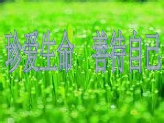 尊重生命----善待自己