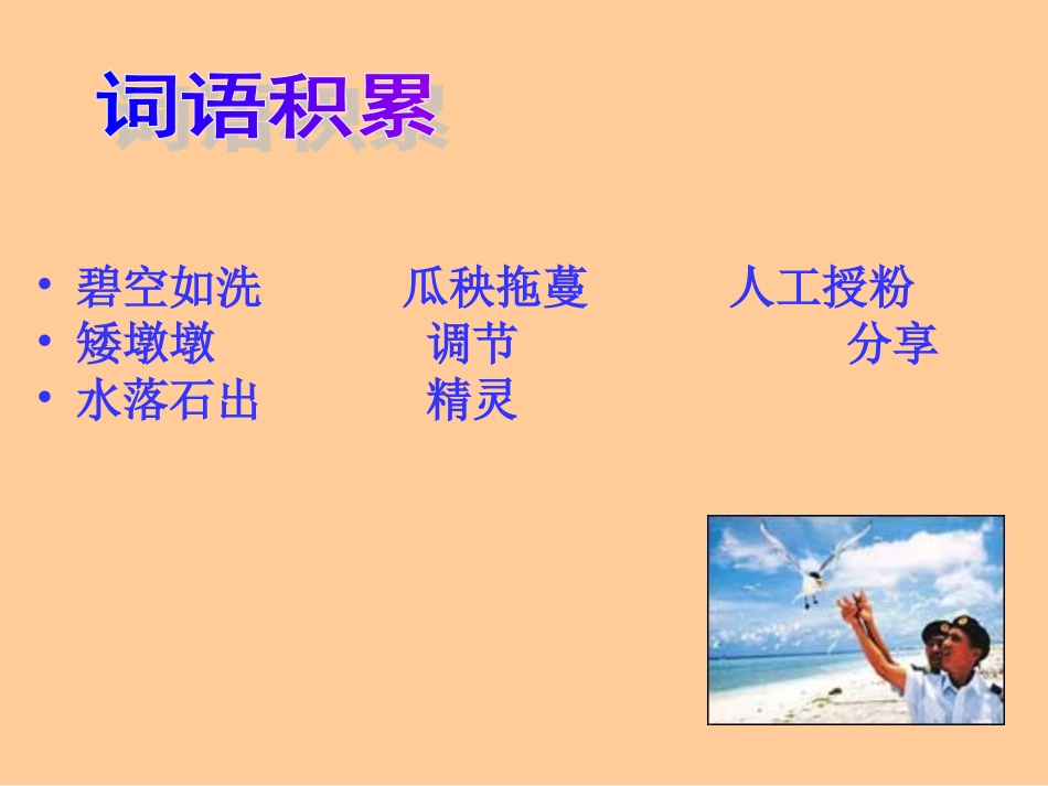 彩色的翅膀1_第2页