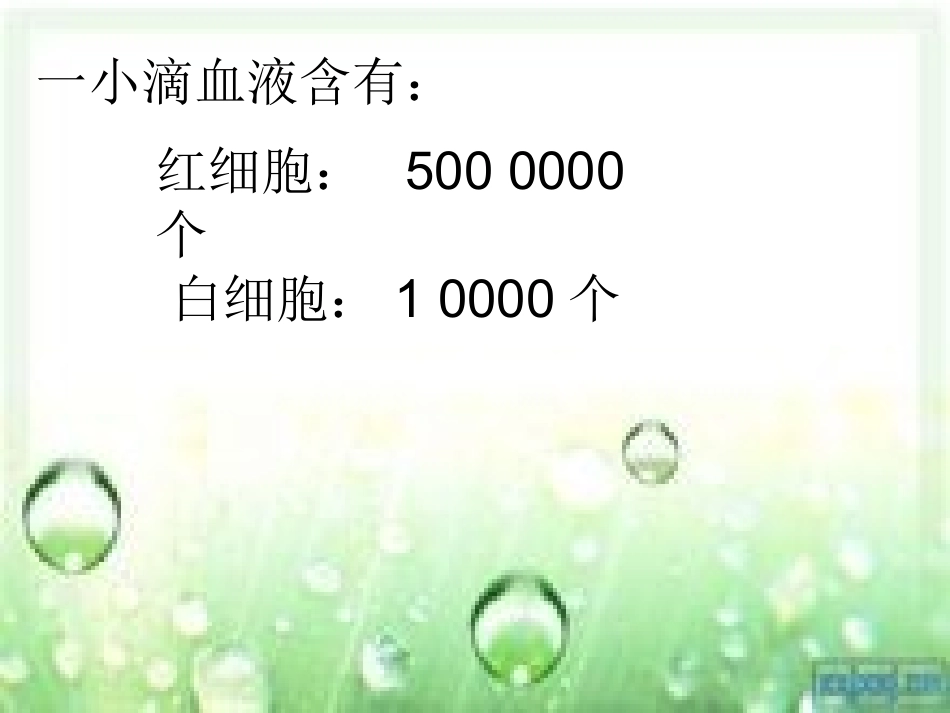 四年级数学（上）用万作单位的数_第3页